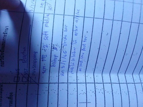 มีใครแปลออกบ้างคะสอบถามหน่อยค่ะ