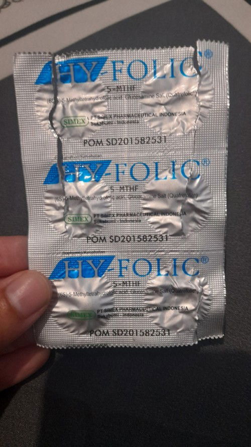 Rekomendasi Asam Folat