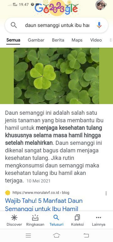 Mitos atau fakta daun semanggi tidak boleh dikonsumsi ibu hamil?