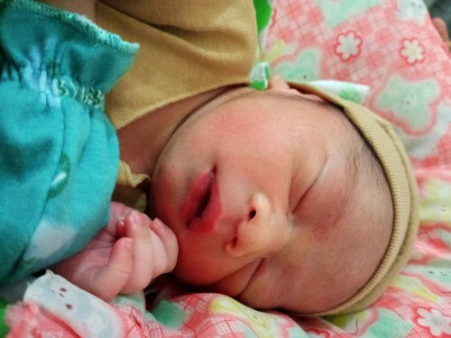 Hpl 14 januari, launching 2 januari