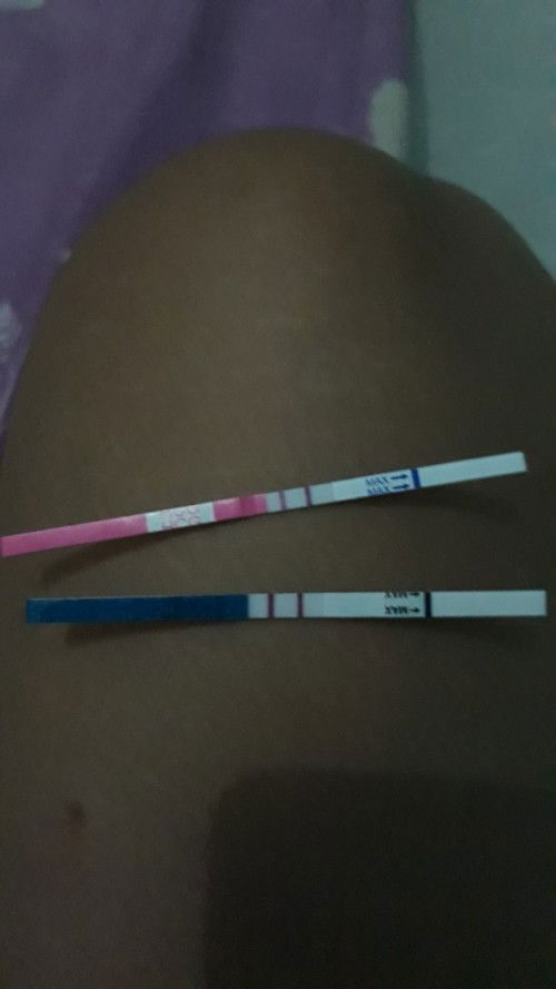 Telat 6hari, itu garisnya jelas banget apa udah jelas hamil??