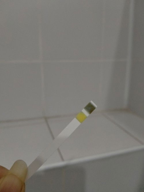 ที่ตรวจฉี่เปลี่ยนสี