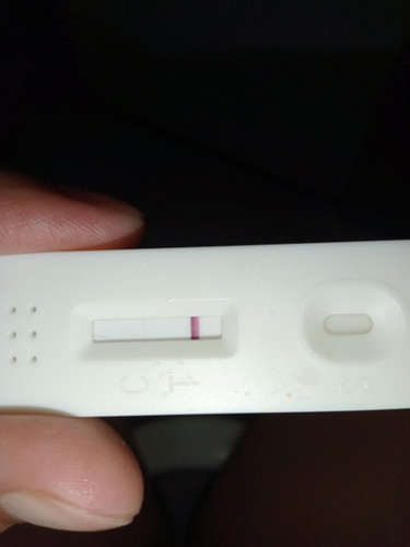 Pregnancy tesy