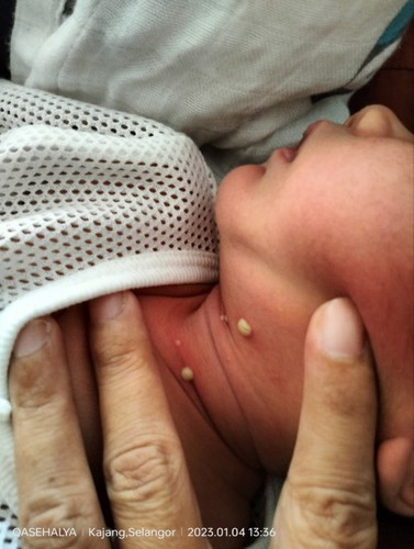 Baby Hari Ke 4