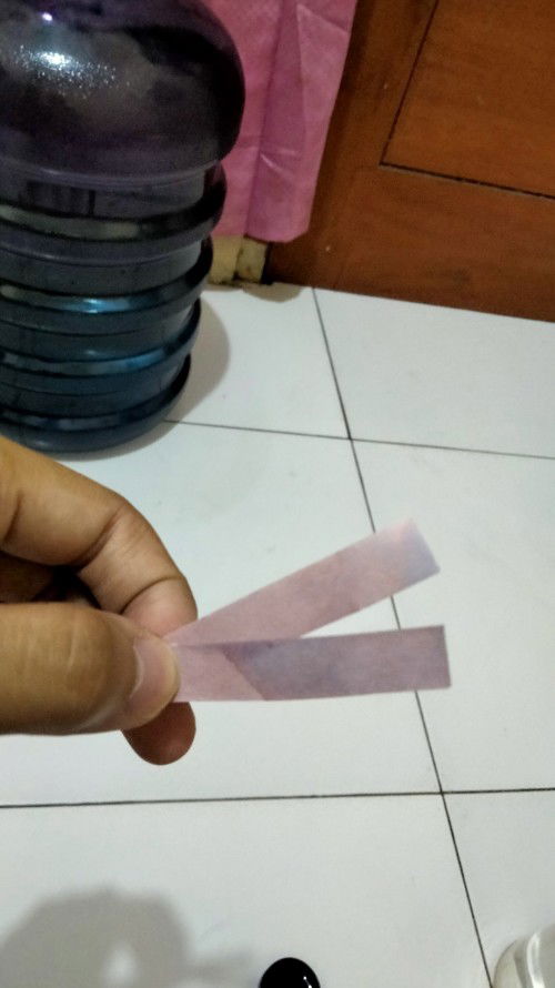 Kertas lakmus merah jadi seperti ini