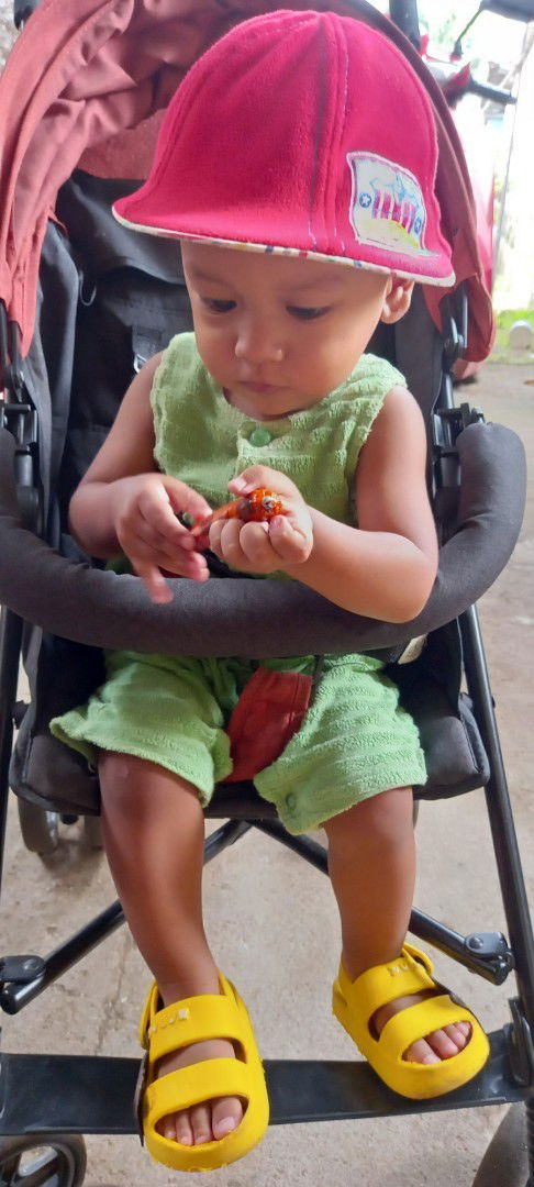 Halo bunda...balitaku umur 15,5bln.apa ada ya yg seumuran disini.anakku suka gigitan kaya gemes gtu