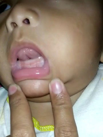 Tumgi 4 bulan 22 hari