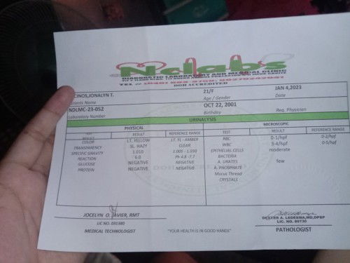 Result of Urinalysis