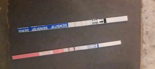 Hasil TP telat dihari ke 14, dengan merk yg berbeda. TP dihari & jam yg sama.