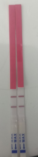 OPK Test Hari Ini