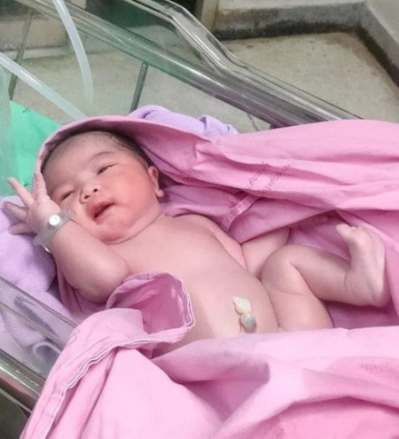 น้องต้นกล้า