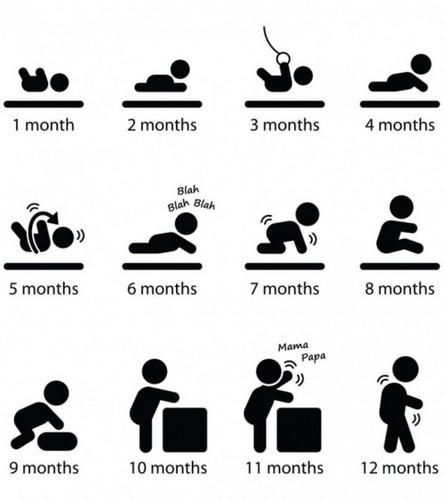 baby growth chart