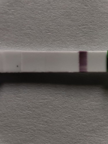 Pregnancy Test