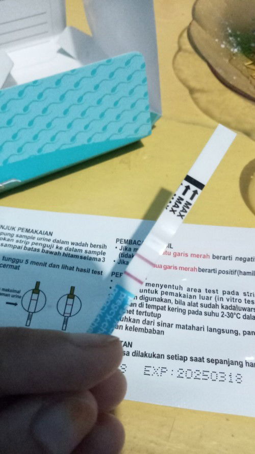 Maaf bunda mau bertanya baru tespek satu kali tpi hasilny langsung garis2 terang apakah itu termasuk