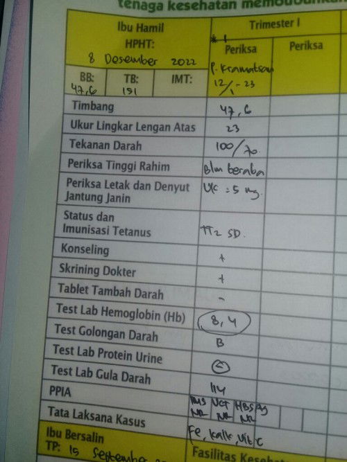 HB ku rendah bun😌. Dah dikasih obt tmbh darah tp baru aku minum muntah. Ada solusi g bun buah/sayur