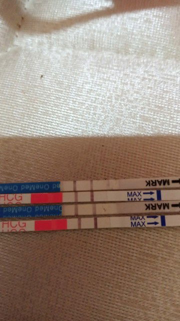 Usia kandungan 8 minggu 6 hari