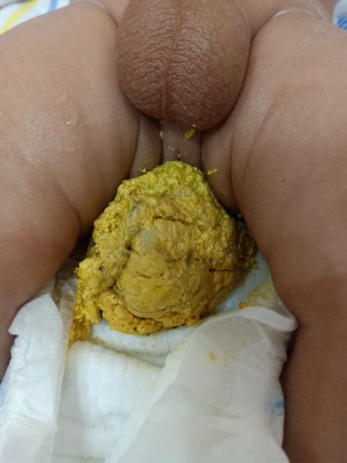 Bab bayi full sufor bebelove