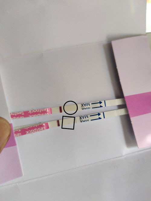 Positif / negatif ya bun