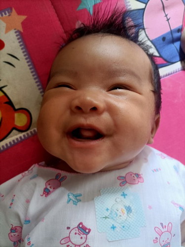เดือนพฤศจิกา
