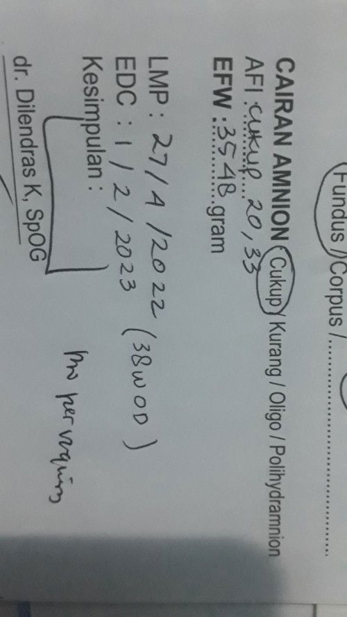 Janin belom masuk panggul