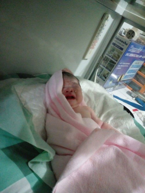 HPL 27 jan launching 15jan