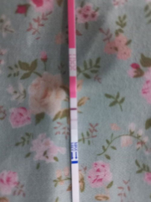 Tanya masalah kehamilan