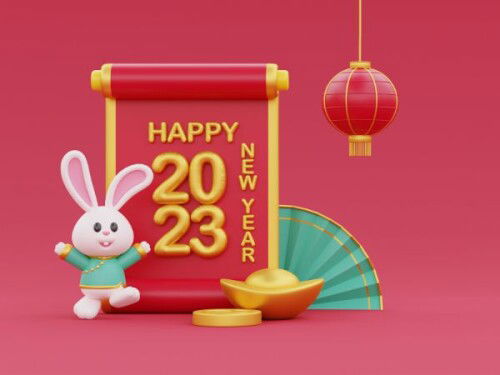 How are you feeling about this Chinese New Year?