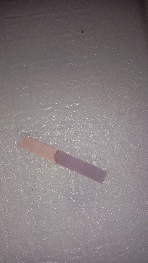 Kertas lakmus seperti ini, ketuban bukan yaa