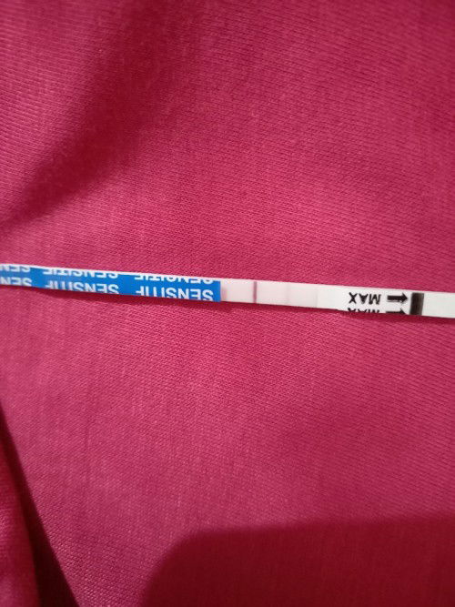 Bun ini pertanda hamil kah ? Mohon bantu jawab