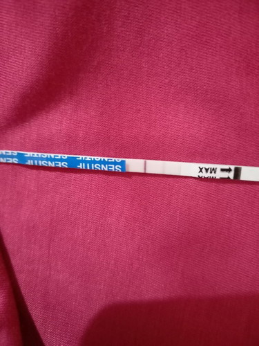 Bun ini pertanda hamil kah ? Mohon bantu jawab