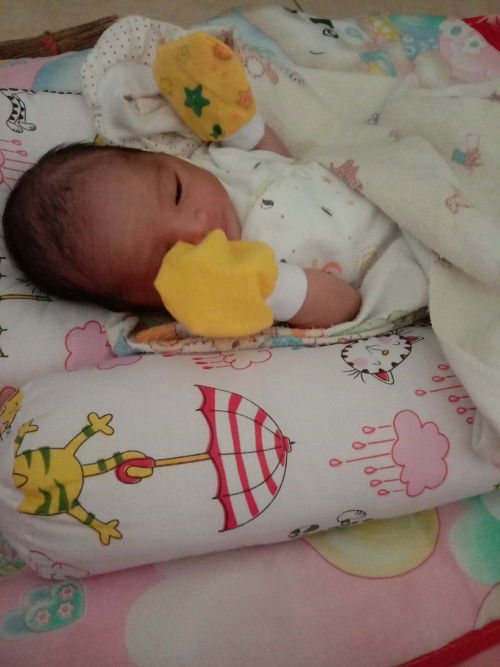 Hl 25 Jan Launching 21 Jan