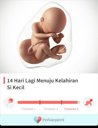 Menghitung Hari. . .