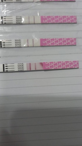 Peluang untuk preg?