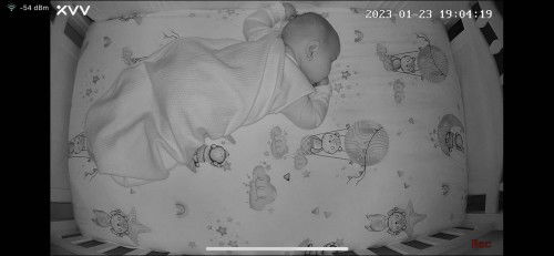 Bayi tidur tengkurap