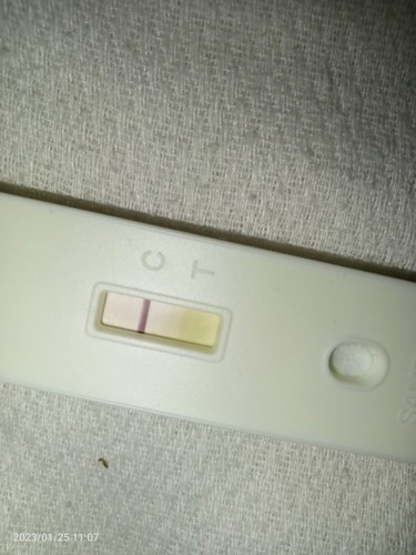 pregnancy test