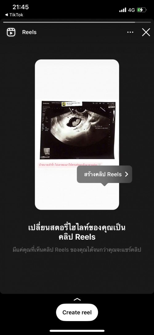 11 สัปดาห์ที่หนูไม่อยู่