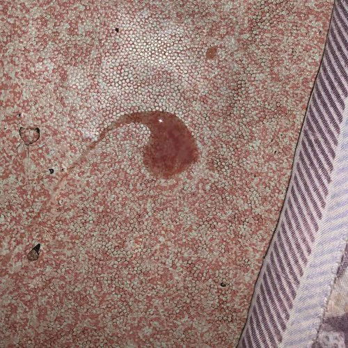 HPL 07 februari 2023