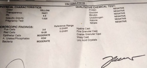 My urinalysis