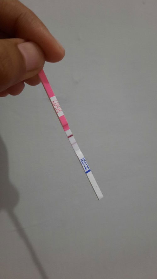 Hamil pasca kuret 1 bulan