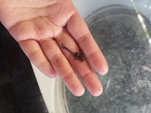 ท้อง2ค่ะตอนนี้5วิค2วัน