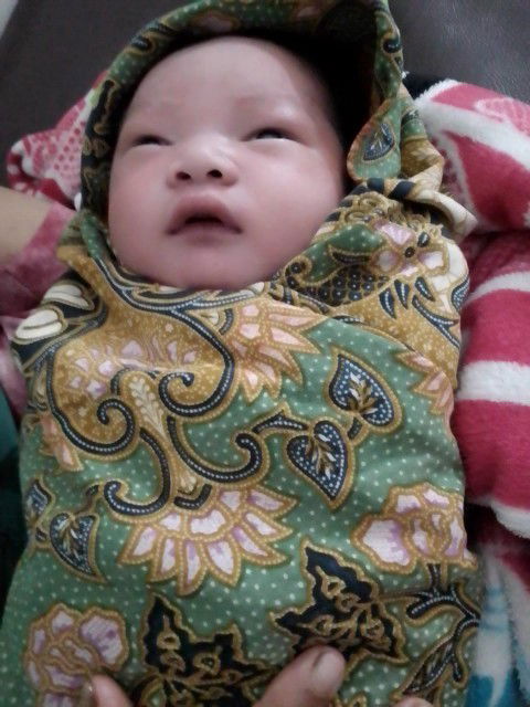 Hpl 27 Januari laucing 28 Januari