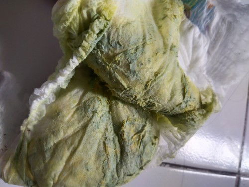 Warna dan tekstur fases bayi