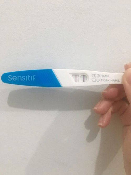 Pengalaman menggunakan ovulation test