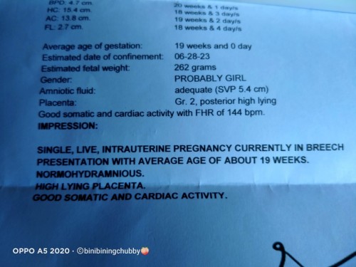 PELVIC UTZ RESULT