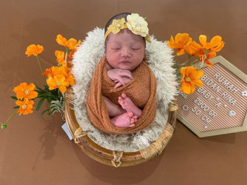 Hpl 12 feb launching 1 feb 2023