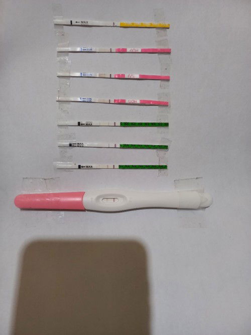 Curahan hati seorang calon Ibu