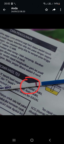 Seputar Kehamilan