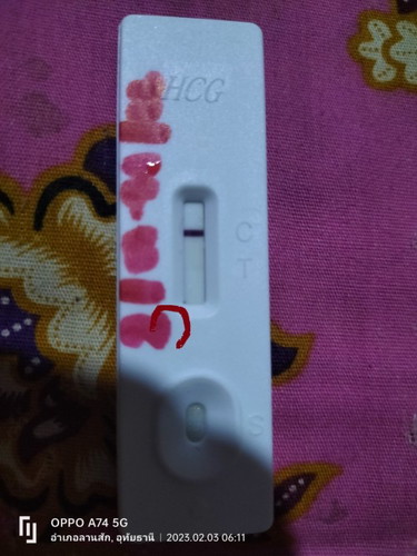 ที่ตรวจครรภ์