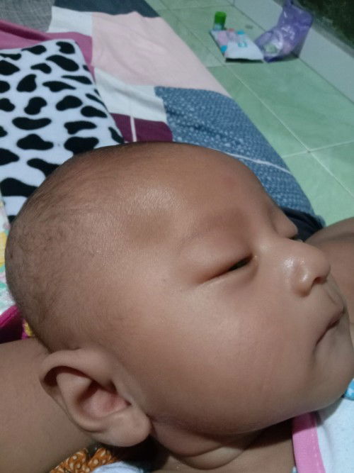 Minyak penumbuh rambut biar tebal untuk bayi apa ya bunda"