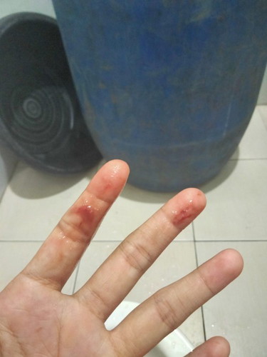 สอบถามหน่อยค่ะ
